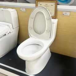 Bồn Cầu INAX AC-969VN 1 Khối Aqua Ceramic