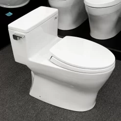 Bồn cầu 1 khối TOTO MS188VKT2 T53P100VR nắp đóng êm TC393VS 13 Bồn cầu 1 khối TOTO MS188VKT2 T53P100VR nắp đóng êm TC393VS