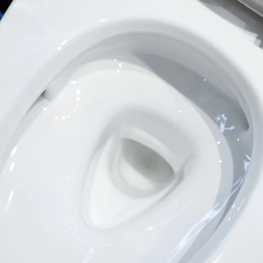 Thiết kế sang trọng của bồn cầu TOTO MS625DT8 - Hình 3 Thiết kế sang trọng của bồn cầu TOTO MS625DT8