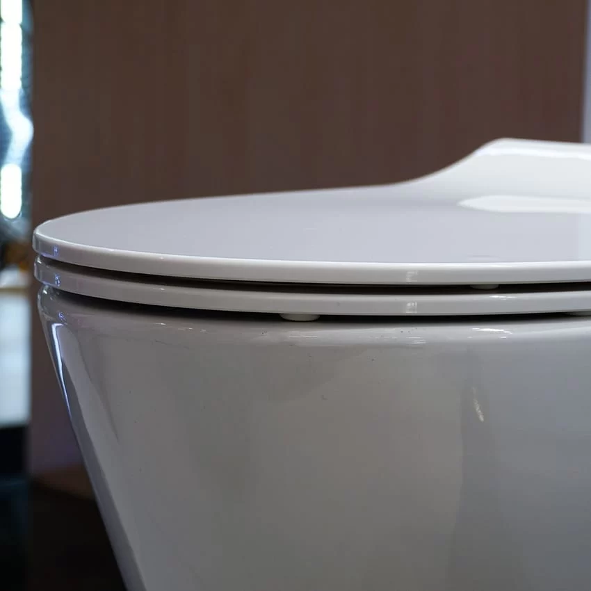 Chất liệu sứ cao cấp của TOTO MS625DT8 - Hình 4 Chất liệu sứ cao cấp của TOTO MS625DT8