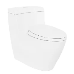 Bồn cầu 1 khối TOTO MS636DT2 nắp đóng êm TC393VS