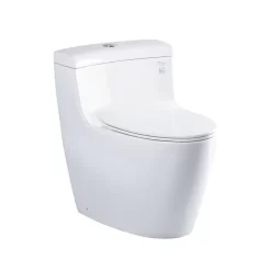 Bồn cầu 1 khối TOTO MS636DT8 nắp đóng êm TC600VS