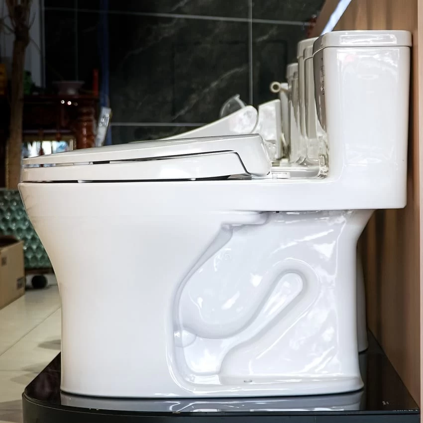 Bồn cầu 1 khối TOTO MS855DT2 nắp đóng êm TC393VS - Hình ảnh 2 Bồn cầu 1 khối TOTO MS855DT2 nắp đóng êm TC393VS - Hình ảnh 2
