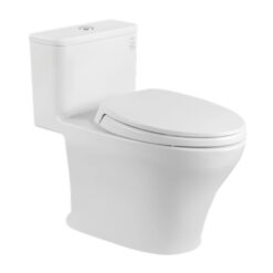 Bồn cầu 1 khối TOTO MS857DT2 nắp đóng êm TC393VS