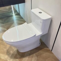 Bồn cầu 1 khối TOTO MS857DT8 nắp đóng êm TC600VS