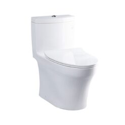 Bồn cầu 1 khối TOTO MS889DRT8 nắp đóng êm TC600VS