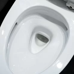 Bồn cầu 1 khối TOTO MS889DRT8 nắp đóng êm TC600VS