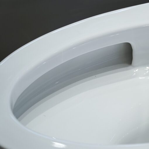 Bồn cầu 1 khối TOTO MS889DRT8 nắp đóng êm TC600VS