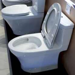 Bồn cầu 1 khối TOTO MS889DRT8 nắp đóng êm TC600VS