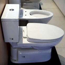 Bồn cầu 2 khối TOTO CS302DT10 nắp đóng êm TC395VS
