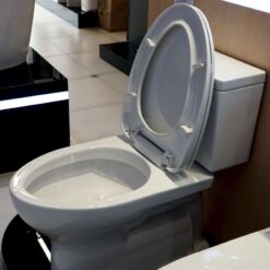 Bồn cầu 2 khối TOTO CS302DT10 nắp đóng êm TC395VS
