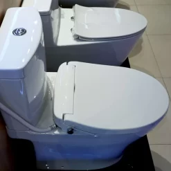 Bồn cầu 2 khối TOTO CS769DRT2 nắp đóng êm TC393VS 16 Bồn cầu 2 khối TOTO CS769DRT2 nắp đóng êm TC393VS