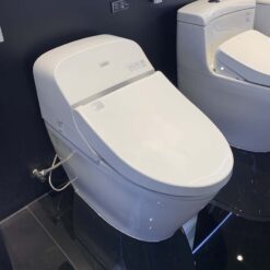 Bồn cầu điện tử GG TOTO C971 TCF9433A