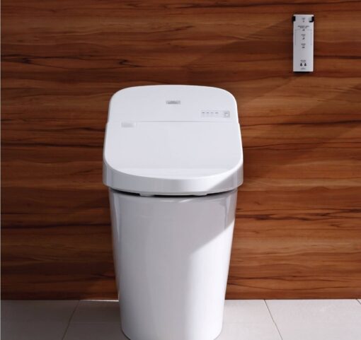 Bồn cầu điện tử GG TOTO C971 TCF9433A