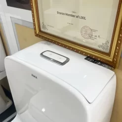 Bồn Cầu INAX AC-832VN 2 Khối Aqua Ceramic 13 bon cau inax AC 832vn 2 khoi aqua ceramic xa nhan 4