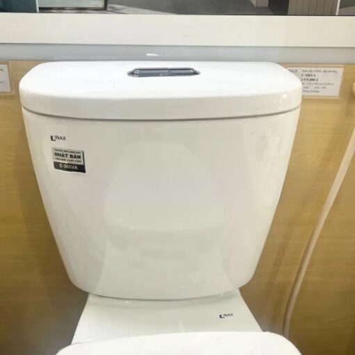 bon cau inax C 306VA nap thuong 4