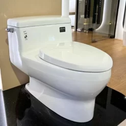 Bồn Cầu INAX AC-4005VN Một Khối Aqua Ceramic 10 bon cau inax ac 4005vn mot khoi aqua ceramic 3