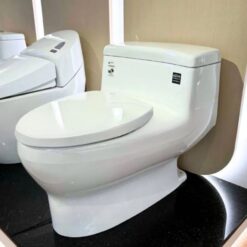 Bồn Cầu INAX AC-4005VN Một Khối Aqua Ceramic