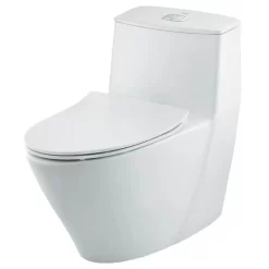 bon cau inax ac 919VRN 1 khoi aqua ceramic