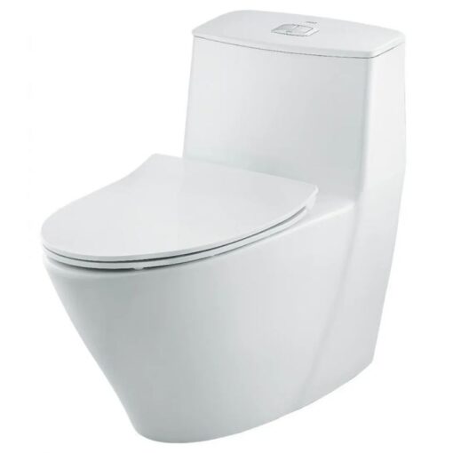 bon cau inax ac 919VRN 1 khoi aqua ceramic