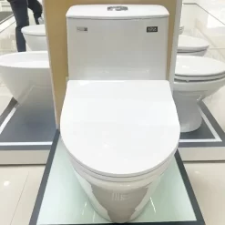 bon cau inax ac 919VRN 1 khoi aqua ceramic 7