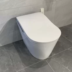 Bồn cầu thông minh Neorest LS TOTO CS911VT TCF87220GAA T53P100VR