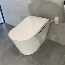 Bồn cầu thông minh Neorest LS TOTO CS911VT TCF87220GAA T53P100VR