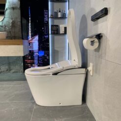 Bồn cầu thông minh Neorest LS TOTO CS911VT TCF87220GAA T53P100VR