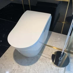 Bồn cầu thông minh Neorest LS TOTO CS911VT TCF87320GAA T53P100VR 14 Bồn cầu thông minh Neorest LS TOTO CS911VT TCF87320GAA T53P100VR