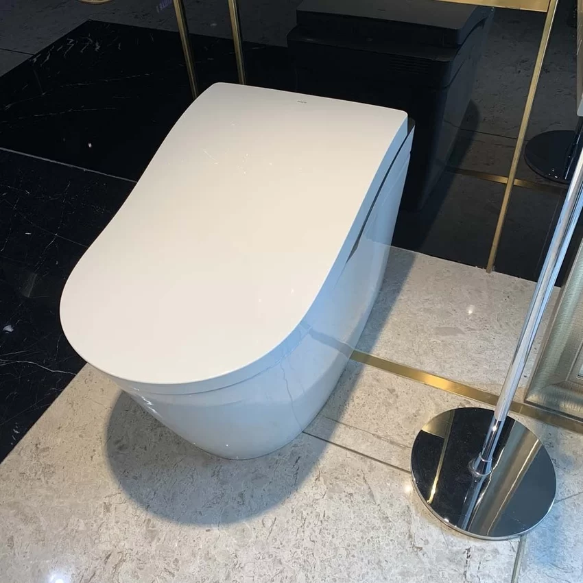 Bồn cầu thông minh Neorest LS TOTO CS911VT TCF87320GAA T53P100VR 24 CS911VT#NW1/TCF87320GAA#NW1/T53P100VR - Bồn Cầu Thông Minh