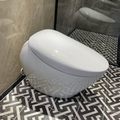 Bồn cầu thông minh Neorest NX II TOTO CS901KVT T53P100VR bảng điều khiển nickel mờ