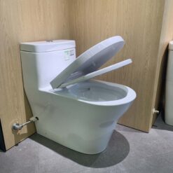 Bồn cầu TOTO CW166RB TC384CVK T53P100VR 1 khối nắp đóng êm