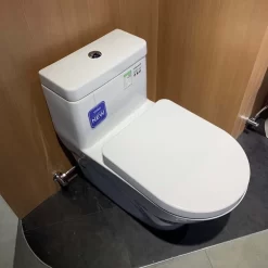 Bồn cầu TOTO CW166RB TC384CVK T53P100VR 1 khối nắp đóng êm 14 Bồn cầu TOTO CW166RB TC384CVK T53P100VR 1 khối nắp đóng êm