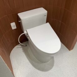 Bồn cầu TOTO MS188VKE4 T53P100VR 1 khối nắp rửa cơ TCW1211A