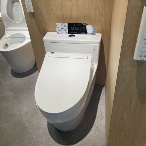 Bồn cầu TOTO MS625CDW15 1 khối nắp điện tử Washlet C5 TCF24460AAA giấu dây