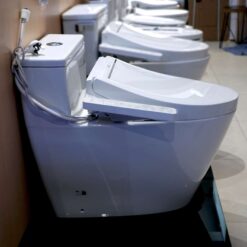 Bồn cầu TOTO MS625DW16 1 khối nắp điện tử Washlet C2 TCF23410AAA