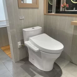 Bồn cầu TOTO MS885CDW17 1 khối nắp điện tử Washlet C2 TCF23460AAA giấu dây