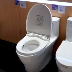 Bồn cầu TOTO MS887RE2 1 khối nắp rửa cơ TCW07S