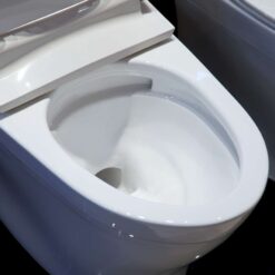Bồn cầu TOTO MS887RE4 1 khối nắp rửa cơ TCW1211A