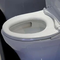 Bồn cầu TOTO MS889DRE2 1 khối nắp rửa cơ TCW07S