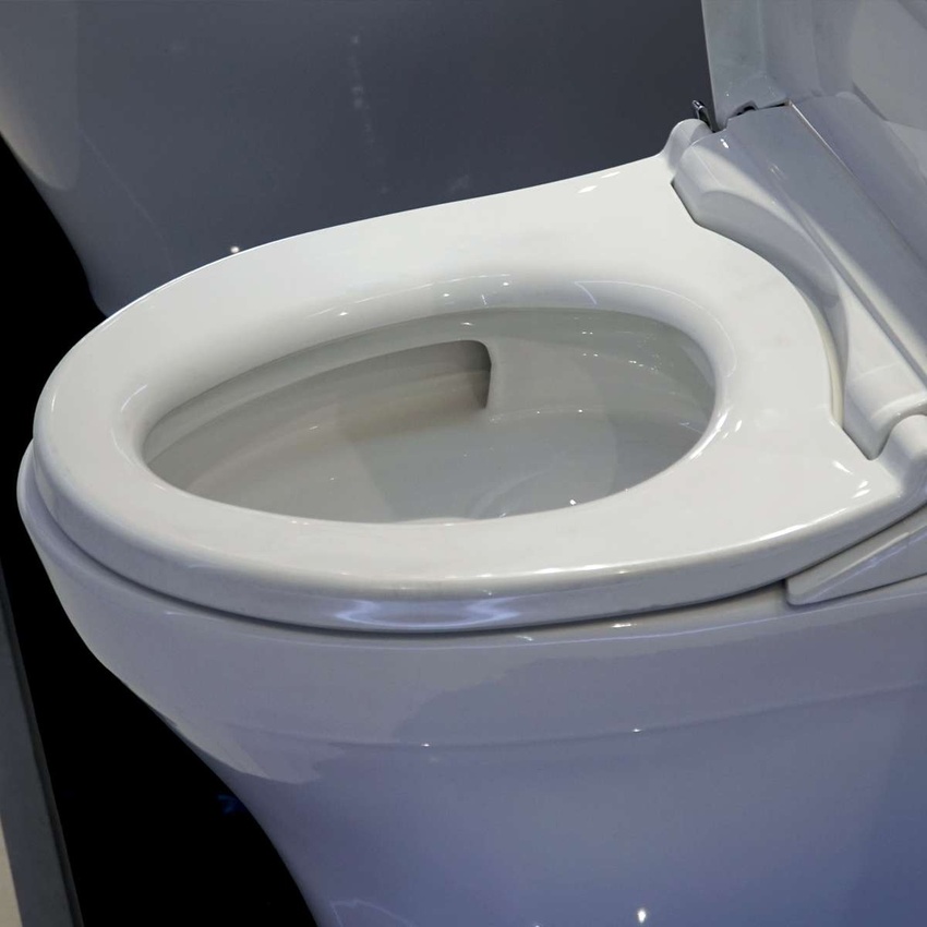 Bền bỉ Bồn cầu TOTO MS889DRE2
