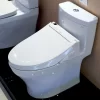 Bồn cầu TOTO MS889DRW14 1 khối nắp điện tử Washlet C5 TCF24410AAA 1 Bồn cầu TOTO MS889DRW14 1 khối nắp điện tử Washlet C5 TCF24410AAA