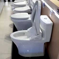 Bồn cầu TOTO MS889DRW14 1 khối nắp điện tử Washlet C5 TCF24410AAA 16 Bồn cầu TOTO MS889DRW14 1 khối nắp điện tử Washlet C5 TCF24410AAA