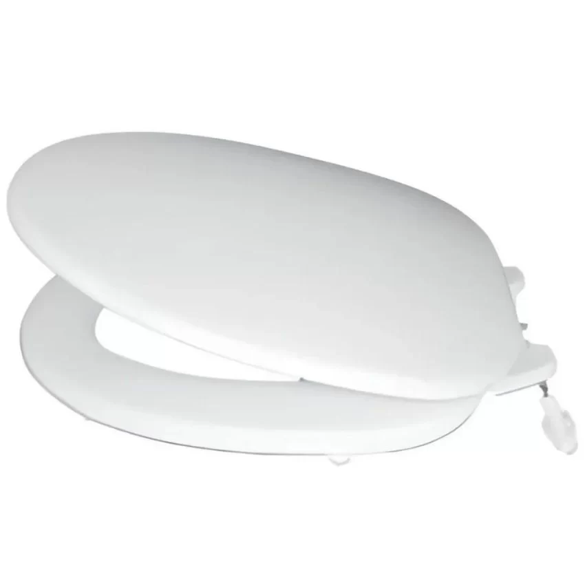 Nắp Bồn Cầu INAX CF-37AKV Phù hợp với bồn cầu C-117VA, C-108VA 13 Ứng dụng thực tế của Nắp Bồn Cầu INAX CF-37AKV