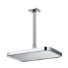 Bát sen gắn trần TOTO TBW10030V