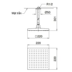 Bát sen tắm gắn trần TOTO DB144-1CR (DB1441CR) (vuông, 220mm)