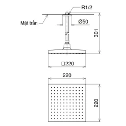 Bát sen tắm gắn trần TOTO DB144-1CR (DB1441CR) (vuông, 220mm)