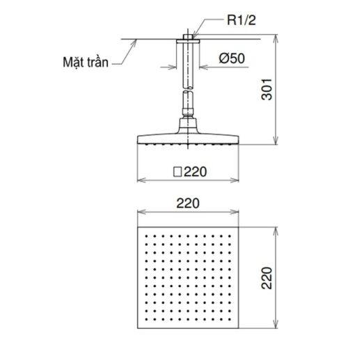 Bát sen tắm gắn trần TOTO DB144-1CR (DB1441CR) (vuông, 220mm)