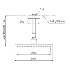 Bát sen tắm gắn trần TOTO TBW07002A1 (tròn 250 mm)