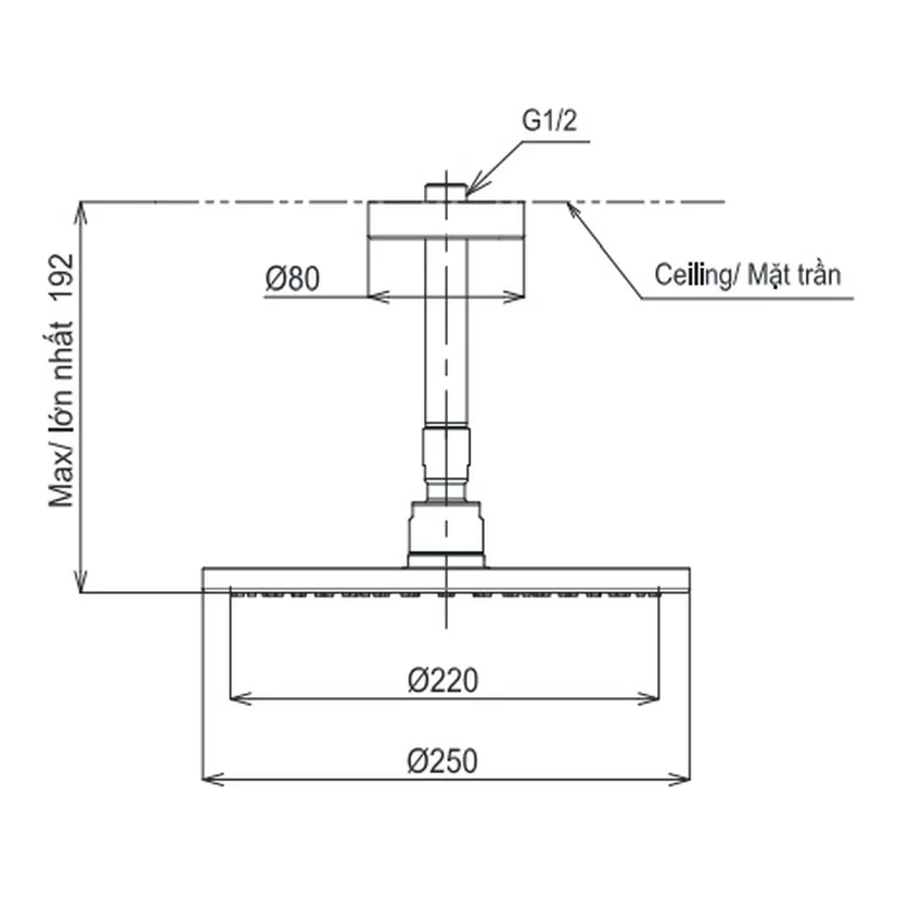 Bát sen tắm gắn trần TOTO TBW07002A1 (tròn 250 mm) 11 Bát sen tắm gắn trần TOTO TBW07002A1 trong sử dụng - SKU: TBW07002A1